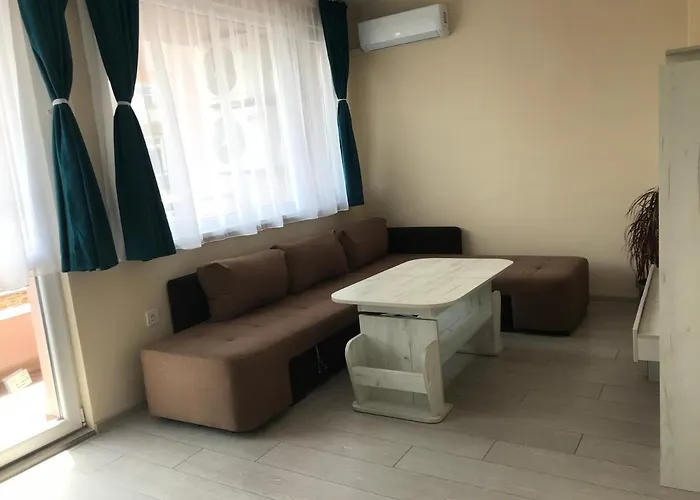 борис דירה *